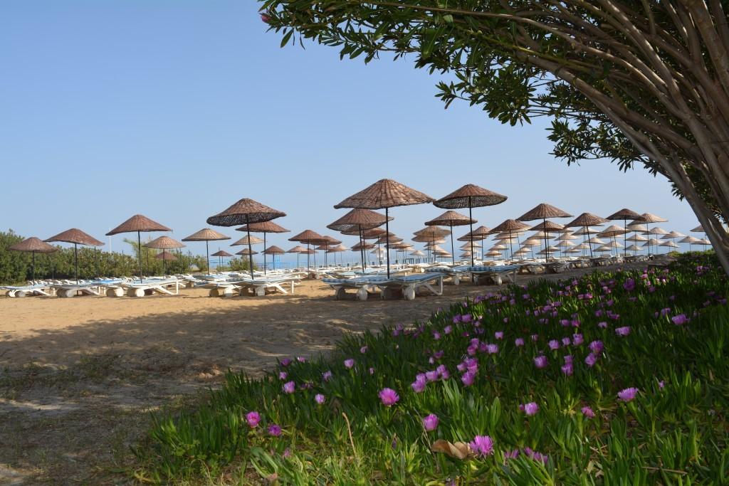 The Garden Beach Hotel Konakli Exterior photo